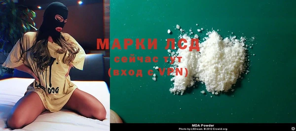 молекула духа Осташков