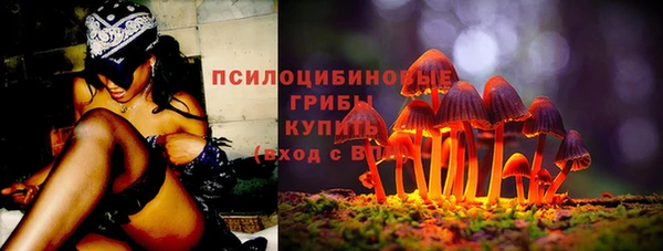 трава Абаза